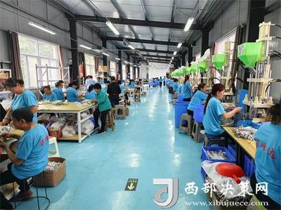 山溝溝里飛出“金線線” 鎮巴縣巴廟鎮的電子技術發展之路